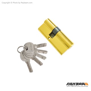 سیلندر قفل ریناس مدل R70