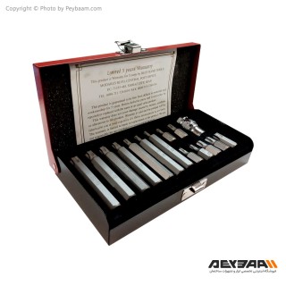 مجموعه 15 عددی آچار ستاره ای رانگ سی مدل RS-B1015T-M/S2