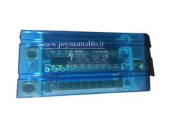 جعبه (باکس) باسبار سه فاز (سه فاز و نول) 12 پیچ 160 آمپر BLOX(NSC)