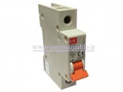 کلید مینیاتوری (mcb) تک پل / تک فاز 1 آمپر ، LS
