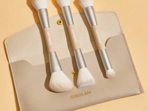 براش سه تیکه همراه کیف شیگلم SHEGLAM