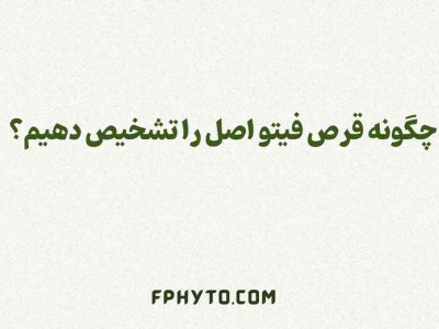 چگونه قرص فیتو اصل را تشخیص دهیم؟