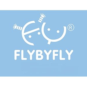 فلای بای فلای