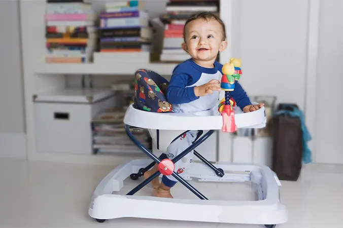 روروئک چیست؟