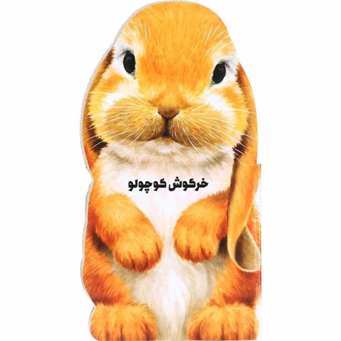 کتاب داستان خرگوش کوچولو کد 593589