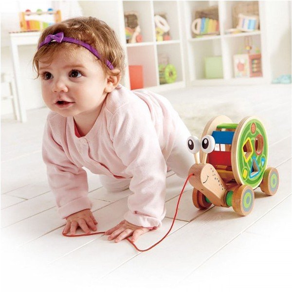 حلزون چوبی کودک Walk-a-long Snail hape 0349