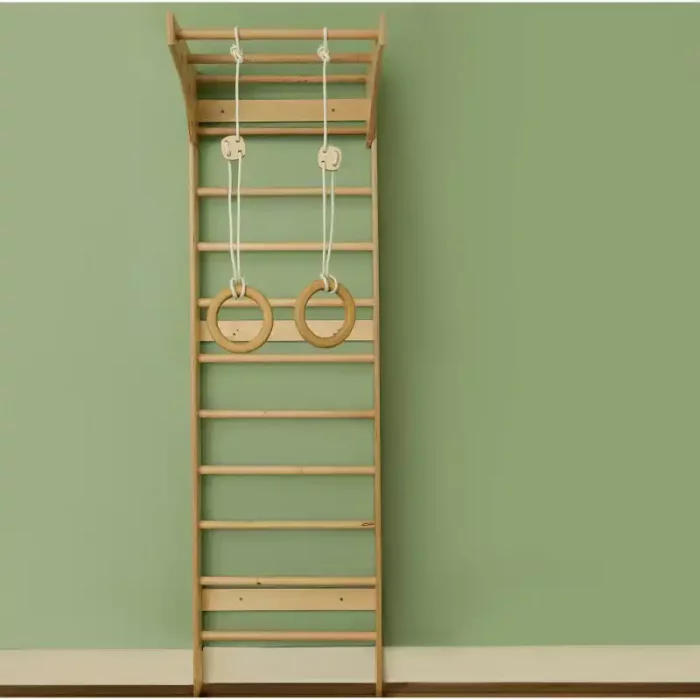 مجموعه ورزشی نردبان سوئدی با حلقه ژیمناستیک کد 40011