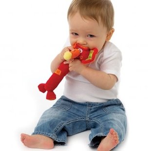 فيل سوتي كودك كد109826