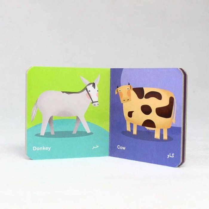 مجموعه 6 جلدی کتاب کودک فرهنگ تصویری نی نی ها رنگ سبز کد 3534219