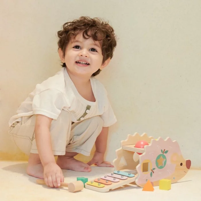 اسباب بازی بلز و جاگذاری جوجه تیغی کلاسیک ورلد hedgehog classic world کد 20137
