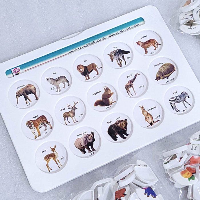 بازی آموزشی هوش چین 3 تکه کد 30019