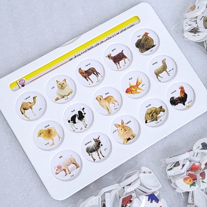 بازی آموزشی هوش چین 3 تکه کد 30019