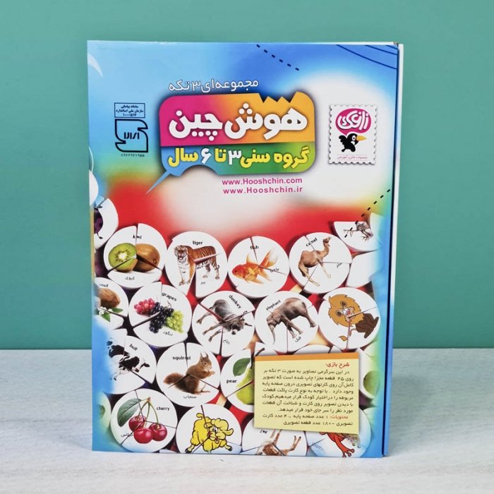 بازی آموزشی هوش چین 3 تکه کد 30019