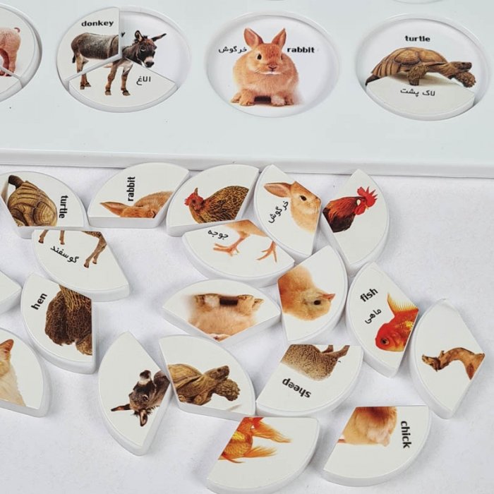 بازی آموزشی هوش چین 3 تکه کد 30019