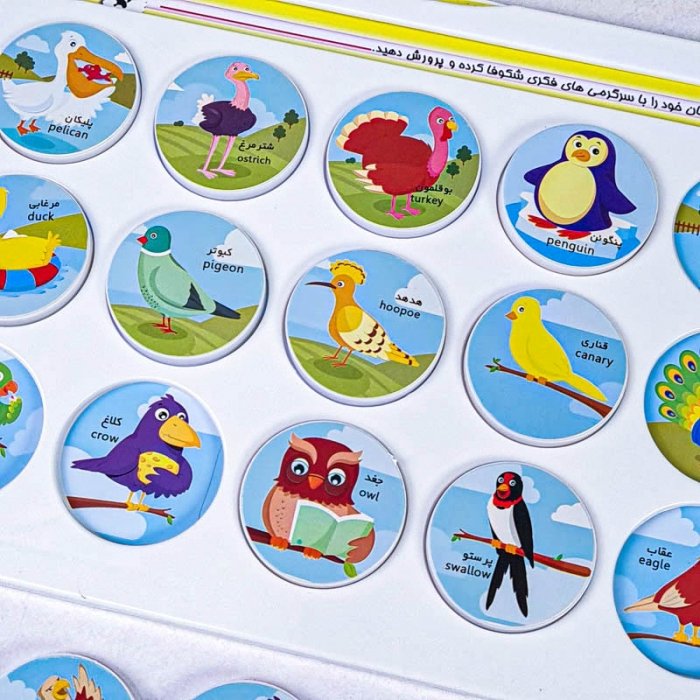 بازی آموزشی هوش چین 1 تکه کد 30017