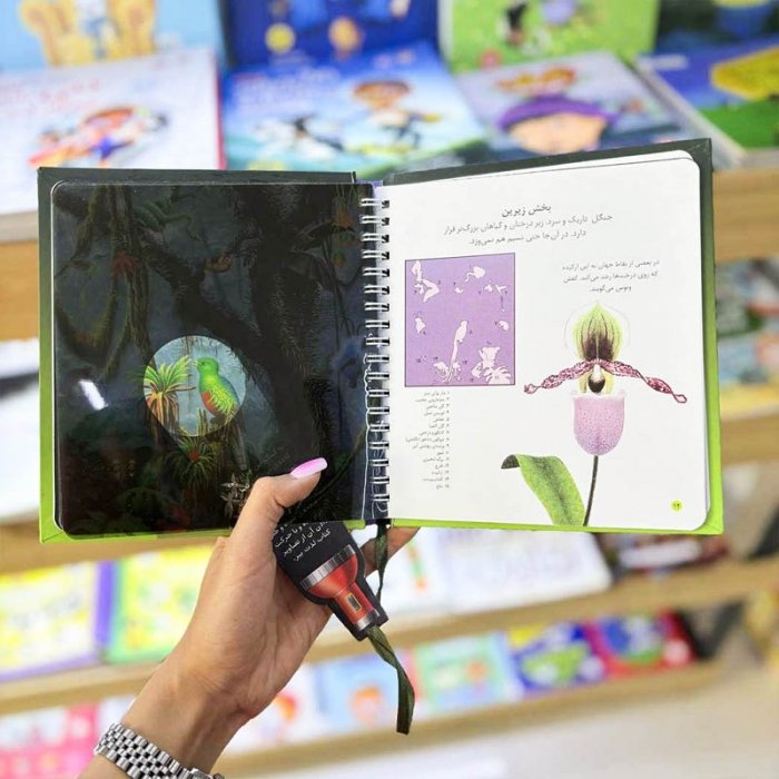 کتاب کودک بازی با نور و رنگ در اعماق جنگل کد 671668