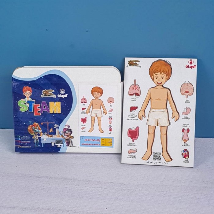 پازل جاگذاری آناتومی بدن انسان 26 تکه کد 42601