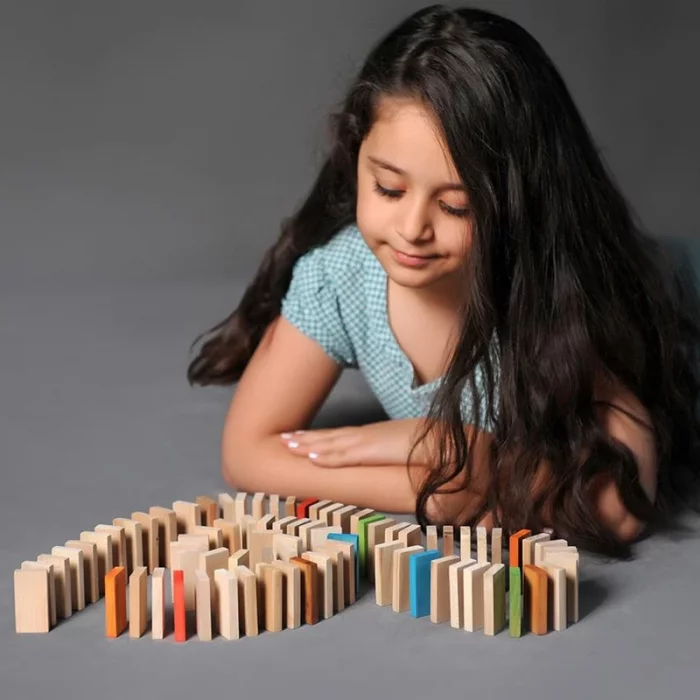 اسباب بازی چوبی دومینو 100 تکه مدل 0030