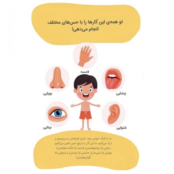 کتاب کودک بدن من از سر تا پا کد 2803