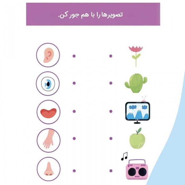 کتاب کودک بدن من از سر تا پا کد 2803