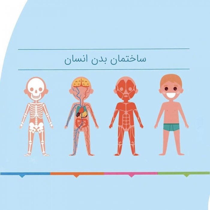 کتاب کودک بدن من از سر تا پا کد 2803
