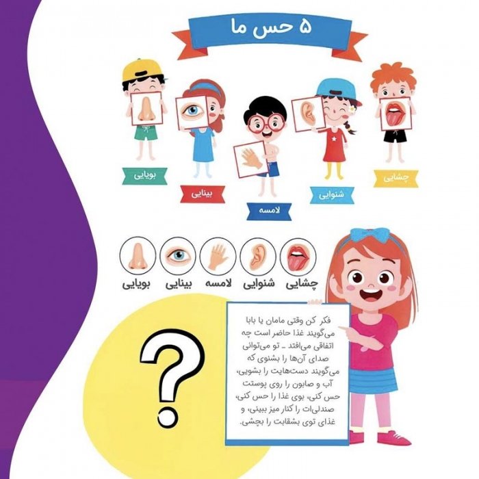 کتاب کودک بدن من از سر تا پا کد 2803