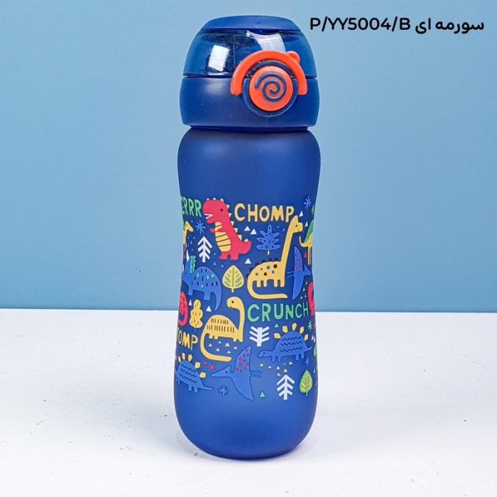 قمقمه نی دار فانتزی 550 میلی لیتر کد YY5004