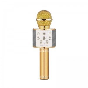 میکروفن اسباب بازی اسپیکر دار طلایی مدل 858