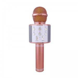 میکروفن اسباب بازی اسپیکر دار رزگلد مدل 858