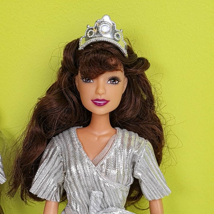 عروسک باربی با لباس اورال نقره ای مو مشکی کد P/HC06/A