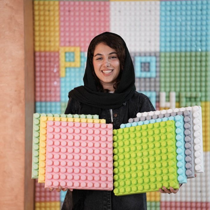 صفحه لگو دیواری یک متری مولتی مدل 6898541