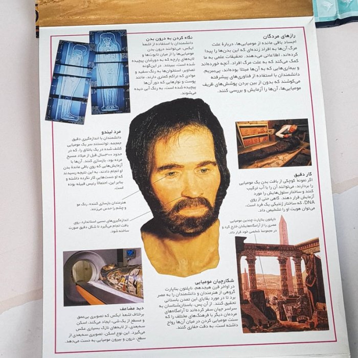 کتاب سه بعدی رازهای مومیایی کد 7062345