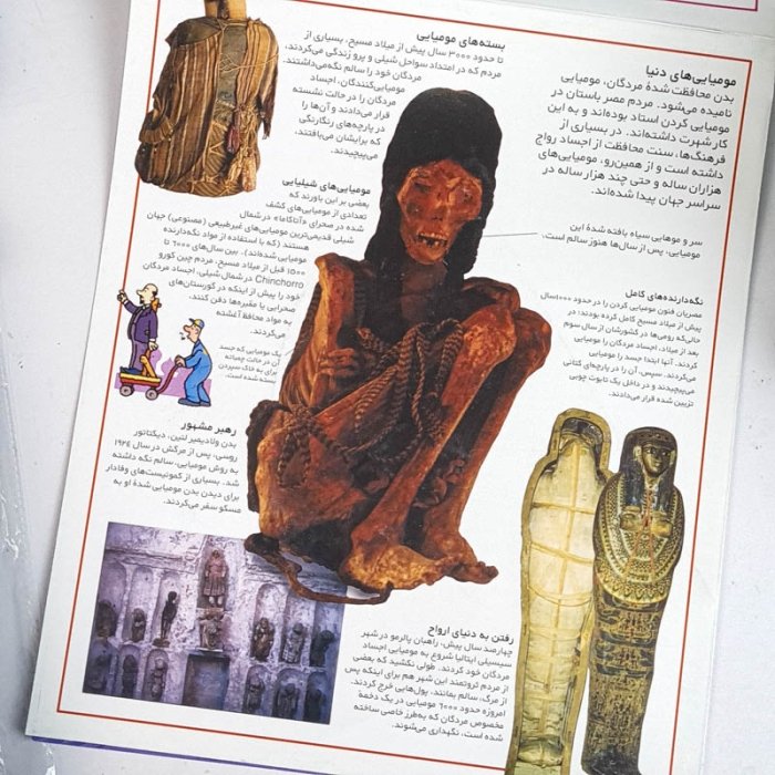 کتاب سه بعدی رازهای مومیایی کد 7062345