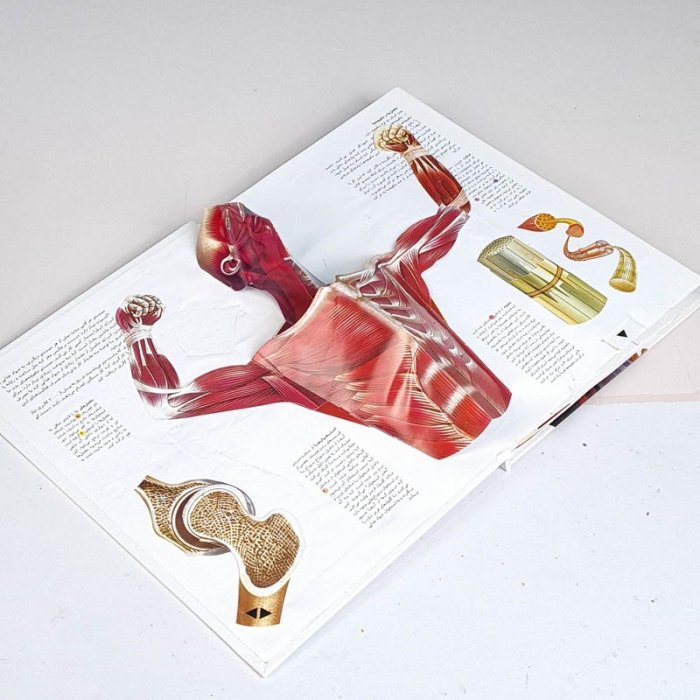 کتاب شگفتی بد انسان کد 26085