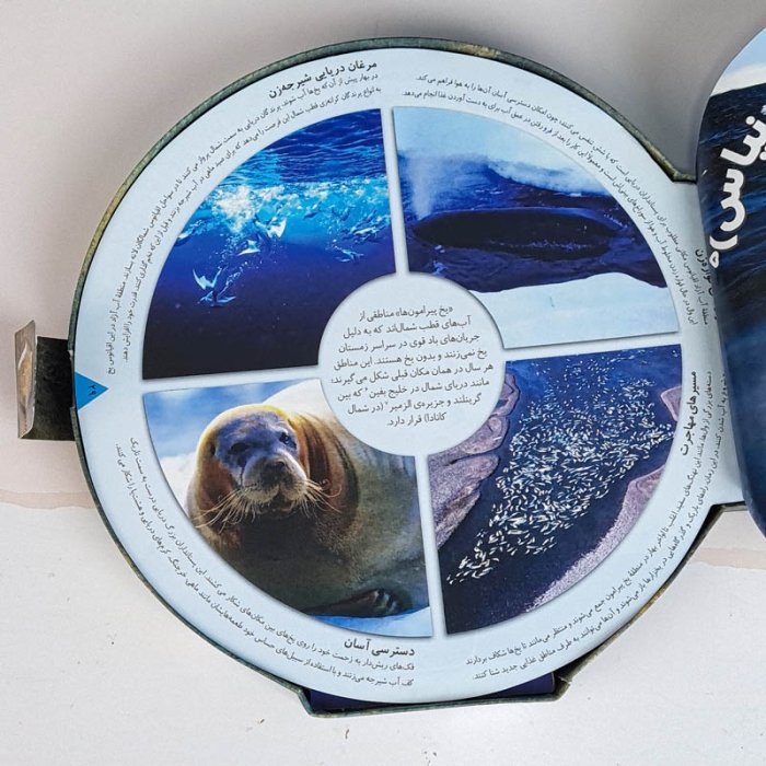 کتاب کودک اقیانوس کد 7062279