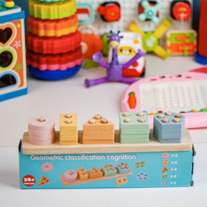 اسباب بازی جاگذاری چوبی پاستلی کد CZS222