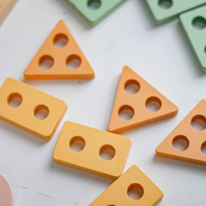 اسباب بازی جاگذاری چوبی پاستلی کد CZS222