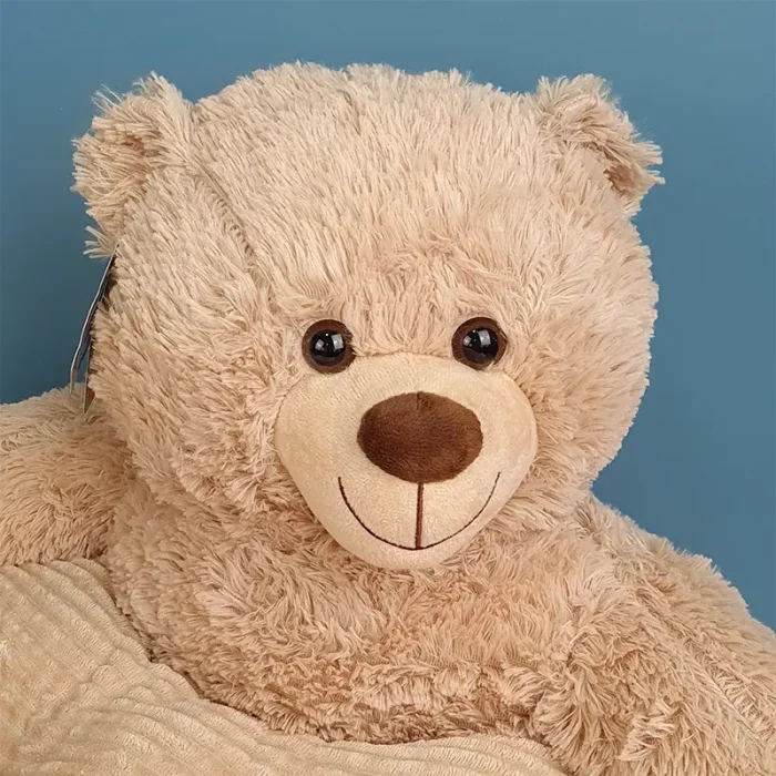 مبل پولیشی مدل خرس بامزی کد AA169