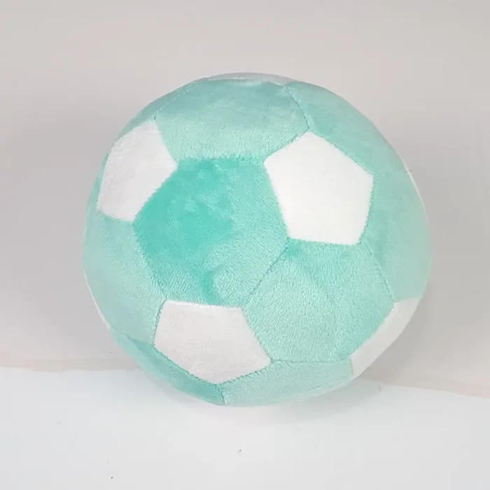 توپ پولیشی رنگ نعنایی کد 57074