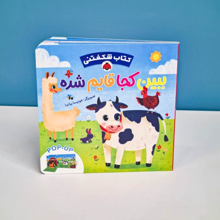 کتاب کودک ببین کجا قایم شده  کد 209954