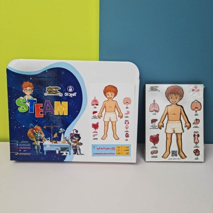 پازل جاگذاری آناتومی بدن انسان 26 تکه کد 42601