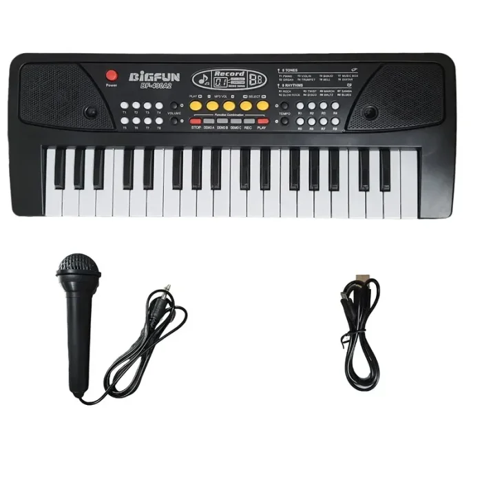 اسباب بازی ارگ بیگ فان مشکی کد BF430A2