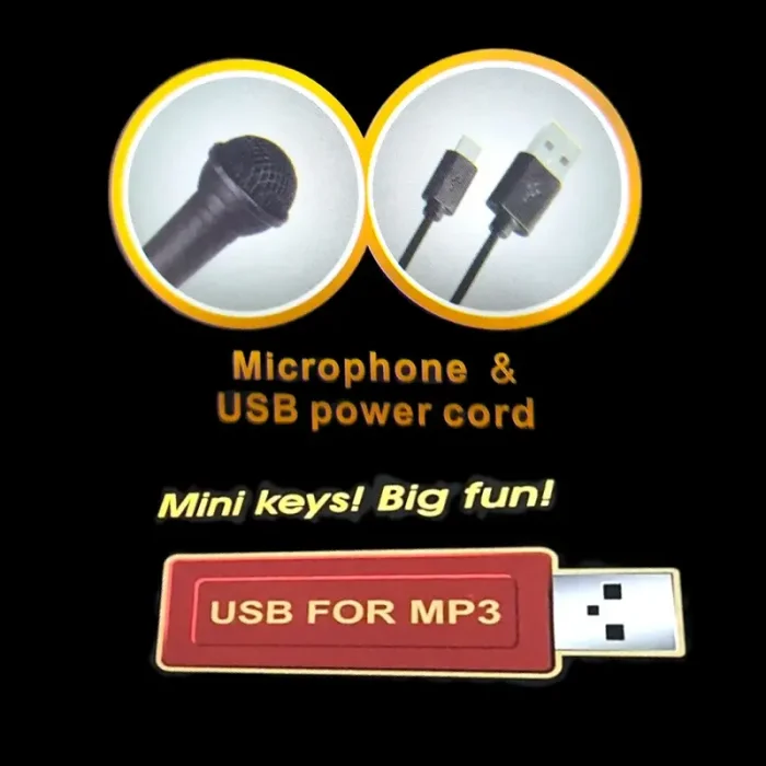 اسباب بازی ارگ بیگ فان مشکی کد BF430A2