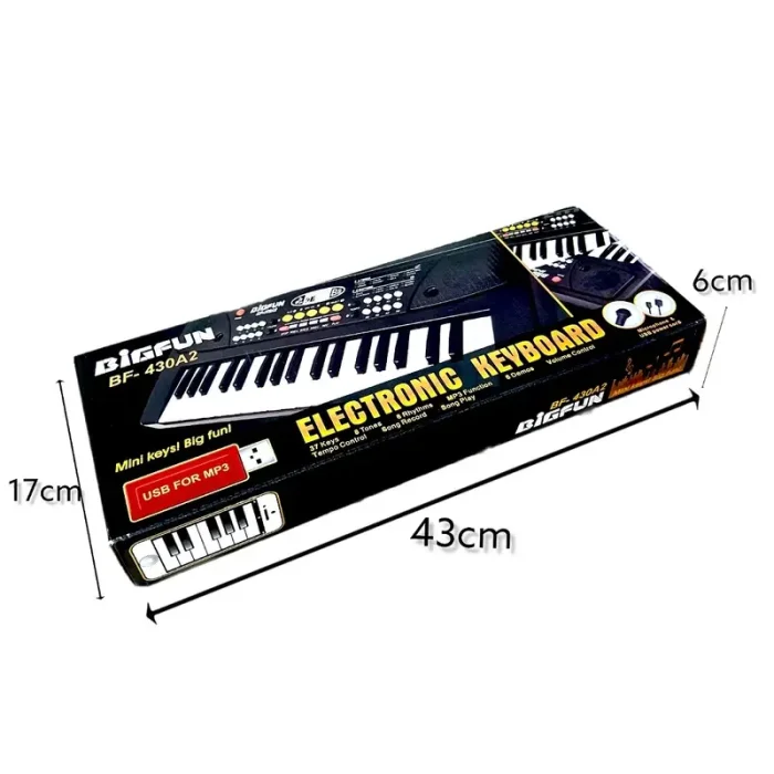 اسباب بازی ارگ بیگ فان مشکی کد BF430A2