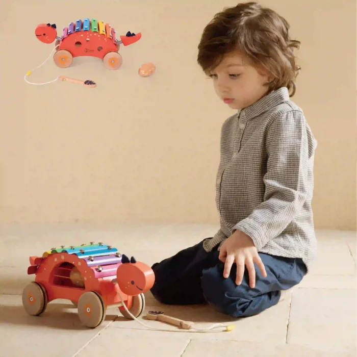 بلز چوبی کلاسیک ورلد مدل دایناسور Classic World Dinosaur Xylophone کد 40585
