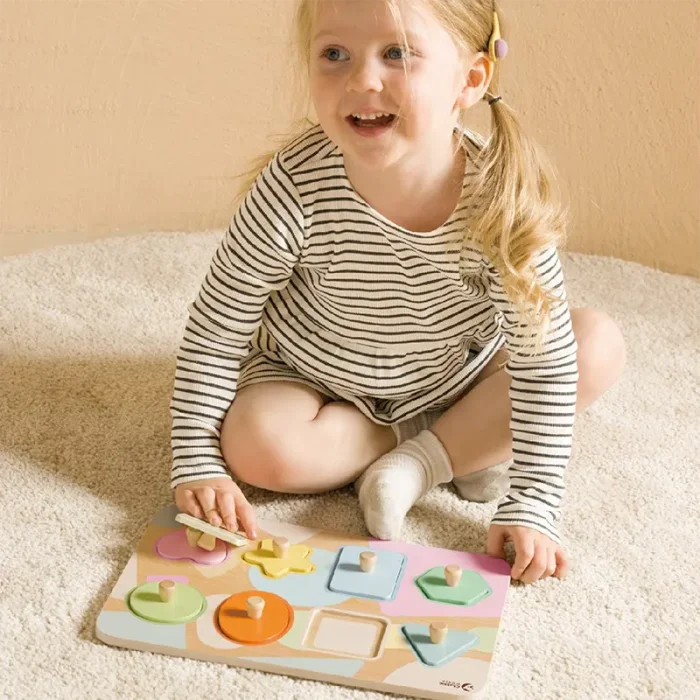 پازل چوبی هندسه کلاسیک ورد Classic World Geometry Puzzle کد 40063