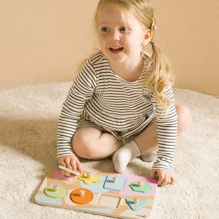 پازل چوبی هندسه کلاسیک ورد Classic World Geometry Puzzle کد 40063