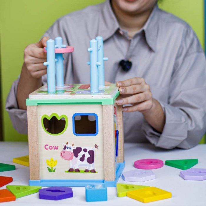 اسباب بازی مکعب هوش و فعالیت چوبی کد MWZ2070