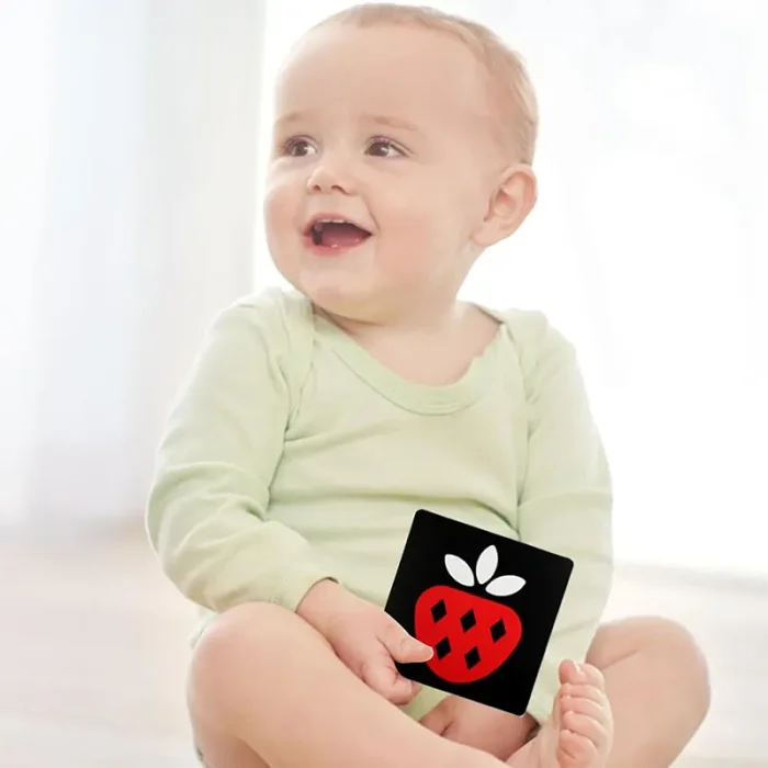 فلش کارت نوزاد سیاه و قرمز کد QM272