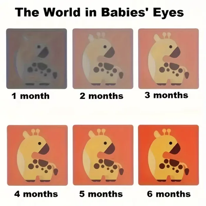 فلش کارت نوزاد سیاه و قرمز کد QM272